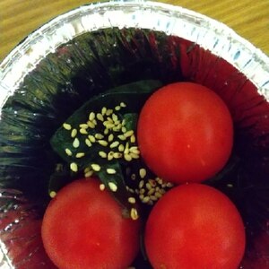 トマトとモロヘイヤのサラダ